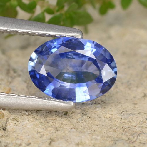 0.83ct طبيعي أزرق زفير, بيضوي, VVS-VS