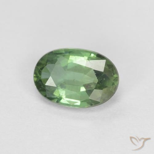 0.53ct طبيعي أخضر الغابات زفير, بيضوي, VVS-VS