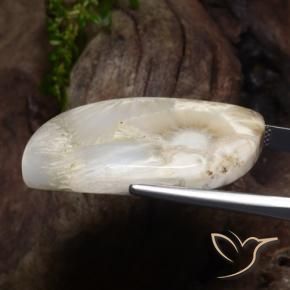 سكوليسيت طبيعي بلون أبيض، وزن ‎34.11‎ قيراط، شكل شكل خيالي، مقاس ‎36.9x20.3‎ مم