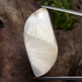 سكوليسيت أبيض طبيعي، شكل خيالي، 28.06 قيراط، غير شفاف