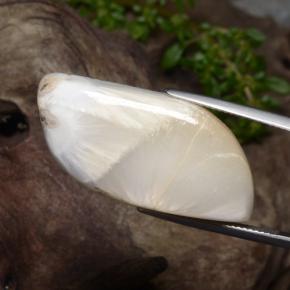 سكوليسيت أبيض طبيعي، شكل خيالي، 28.06 قيراط، غير شفاف