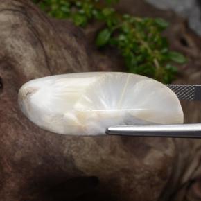 سكوليسيت أبيض طبيعي، شكل خيالي، 28.06 قيراط، غير شفاف