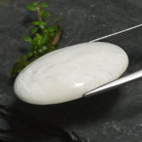 سكوليسيت أبيض رمادى فاتح طبيعي، قصة بيضاوى، 15.77 قيراط، غير شفاف