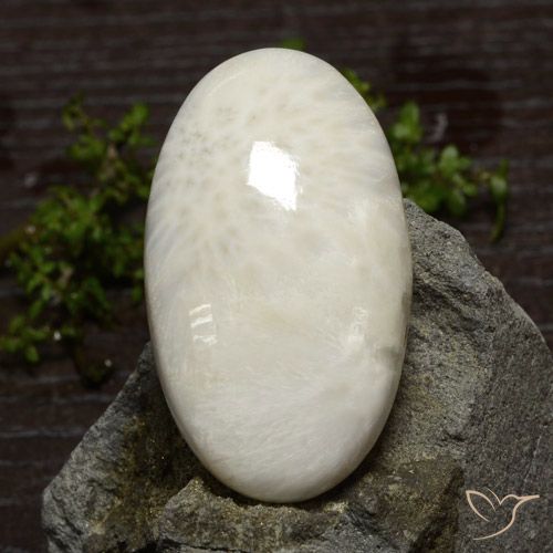 48.61ct طبيعي أبيص فاتح سكوليسيت, بيضوي, غير شفاف