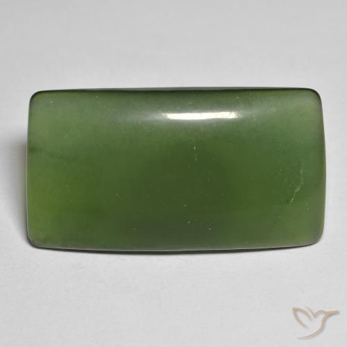 25.58ct طبيعي أخضر غامق حجر السربنتين, وسادة, نصف شفاف