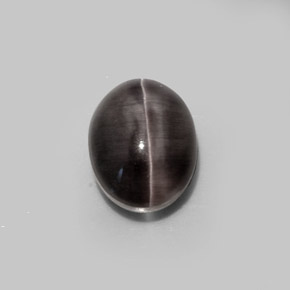 Sillimanite Cat's Eye طبيعي بلون بني رمادي، وزن ‎5.20‎ قيراط، شكل بيضاوى، مقاس ‎10.5x8.1‎ مم
