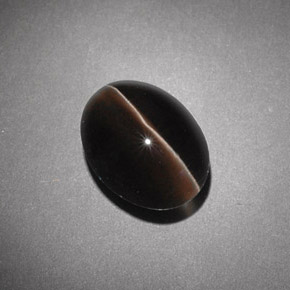 Sillimanite Cat's Eye طبيعي بلون بني، وزن ‎4.54‎ قيراط، شكل شفاف، مقاس ‎10.7x8.1‎ مم