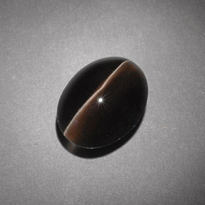Sillimanite Cat's Eye طبيعي بلون بني، وزن ‎4.54‎ قيراط، شكل شفاف، مقاس ‎10.7x8.1‎ مم