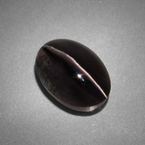 Sillimanite Cat's Eye طبيعي بلون دخاني، وزن ‎4.45‎ قيراط، شكل شفاف، مقاس ‎10.8x7.6‎ مم