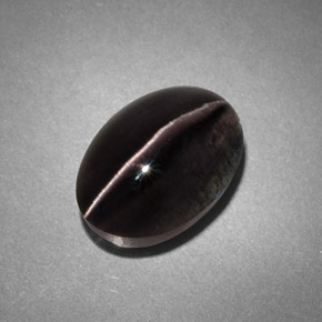 Sillimanite Cat's Eye طبيعي بلون دخاني، وزن ‎4.45‎ قيراط، شكل شفاف، مقاس ‎10.8x7.6‎ مم