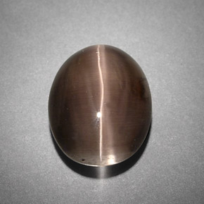 Sillimanite Cat's Eye طبيعي بلون دخاني، وزن ‎4.25‎ قيراط، شكل شفاف، مقاس ‎10.6x8.4‎ مم
