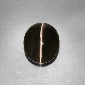 Sillimanite Cat's Eye طبيعي بلون دخاني، وزن ‎4.11‎ قيراط، شكل شفاف، مقاس ‎10.5x8.8‎ مم