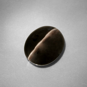 Sillimanite Cat's Eye طبيعي بلون دخاني، وزن ‎4.11‎ قيراط، شكل شفاف، مقاس ‎10.5x8.8‎ مم