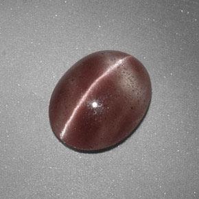 Sillimanite Cat's Eye طبيعي بلون بنى القرفة فاتح، وزن ‎1.60‎ قيراط، شكل بيضاوى، مقاس ‎9.3x7.4‎ مم