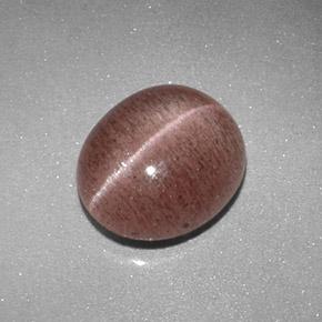 Sillimanite Cat's Eye طبيعي بلون بنى القرفة فاتح، وزن ‎2.04‎ قيراط، شكل بيضاوى، مقاس ‎8.8x7.6‎ مم