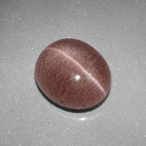 Sillimanite Cat's Eye طبيعي بلون بنى القرفة فاتح، وزن ‎2.04‎ قيراط، شكل بيضاوى، مقاس ‎8.8x7.6‎ مم