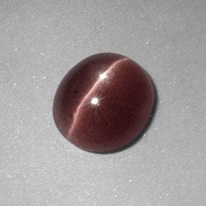 Sillimanite Cat's Eye طبيعي بلون بنى عين الجمل، وزن ‎1.64‎ قيراط، شكل بيضاوى، مقاس ‎8.4x7.5‎ مم
