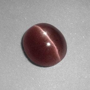 Sillimanite Cat's Eye طبيعي بلون بنى عين الجمل، وزن ‎1.64‎ قيراط، شكل بيضاوى، مقاس ‎8.4x7.5‎ مم