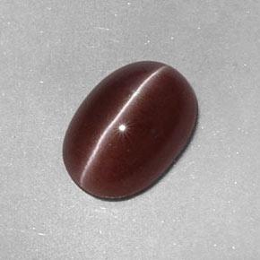 Sillimanite Cat's Eye طبيعي بلون بنى عين الجمل، وزن ‎2.05‎ قيراط، شكل بيضاوى، مقاس ‎9.6x6.7‎ مم