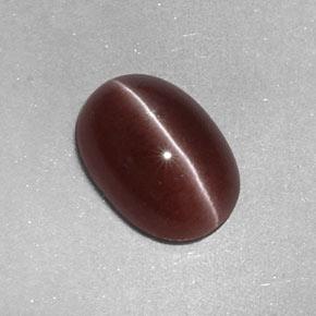 Sillimanite Cat's Eye طبيعي بلون بنى عين الجمل، وزن ‎2.05‎ قيراط، شكل بيضاوى، مقاس ‎9.6x6.7‎ مم