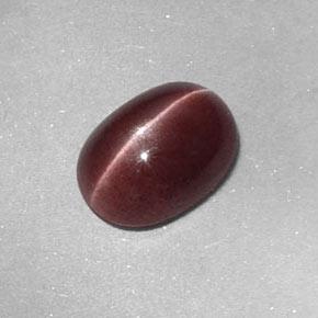 Sillimanite Cat's Eye طبيعي بلون بنى متوسط، وزن ‎1.58‎ قيراط، شكل بيضاوى، مقاس ‎8.8x6.4‎ مم