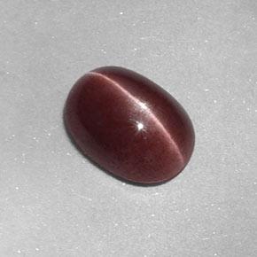 Sillimanite Cat's Eye طبيعي بلون بنى متوسط، وزن ‎1.58‎ قيراط، شكل بيضاوى، مقاس ‎8.8x6.4‎ مم