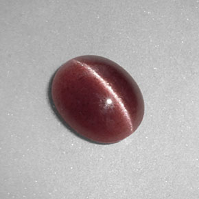 Sillimanite Cat's Eye طبيعي بلون بني، وزن ‎1.26‎ قيراط، شكل شفاف، مقاس ‎8.1x6.6‎ مم
