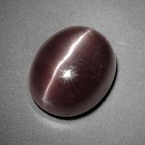 Sillimanite Cat's Eye طبيعي بلون بنى شيكولاتى، وزن ‎3.85‎ قيراط، شكل بيضاوى، مقاس ‎10.5x8.7‎ مم