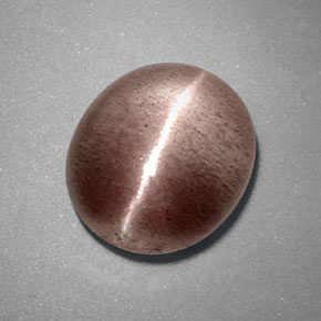 Sillimanite Cat's Eye طبيعي بلون بني، وزن ‎3.38‎ قيراط، شكل شفاف، مقاس ‎10.4x9‎ مم