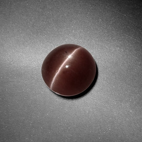 Sillimanite Cat's Eye طبيعي بلون بني، وزن ‎1.82‎ قيراط، شكل دائري، مقاس ‎7.32‎ مم
