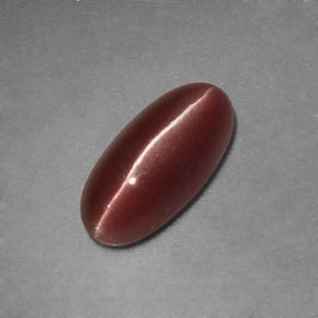 Sillimanite Cat's Eye طبيعي بلون بني، وزن ‎1.12‎ قيراط، شكل شفاف، مقاس ‎9.3x4.5‎ مم
