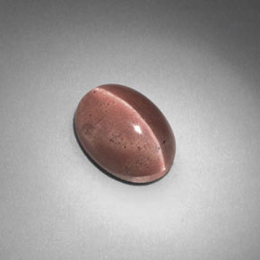 Sillimanite Cat's Eye طبيعي بلون بني، وزن ‎2.58‎ قيراط، شكل بيضاوى، مقاس ‎9.6x7‎ مم
