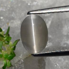 عين القط سيليمانايت بنى رماد طبيعي، قصة بيضاوى، 1.23 قيراط، نصف شفاف