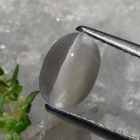 عين القط سيليمانايت بنى رماد طبيعي، قصة بيضاوى، 1.23 قيراط، نصف شفاف