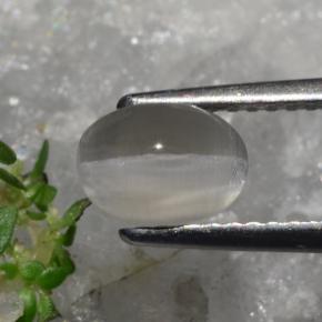 عين القط سيليمانايت بنى رماد طبيعي، قصة بيضاوى، 1.23 قيراط، نصف شفاف