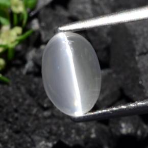 عين القط سيليمانايت بنى رماد طبيعي، قصة بيضاوى، 1.40 قيراط، شفاف