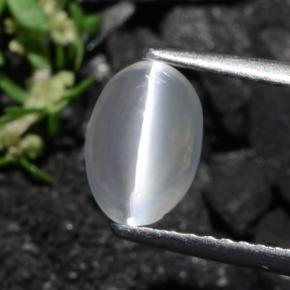 عين القط سيليمانايت بنى رماد طبيعي، قصة بيضاوى، 1.40 قيراط، شفاف