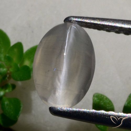 1.65ct طبيعي رمادى فاتح جدا عين القط سيليمانايت, بيضوي, نصف شفاف