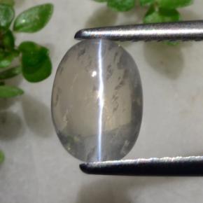Sillimanite Cat's Eye طبيعي بلون رمادى فاتح جدا، وزن ‎1.96‎ قيراط، شكل بيضاوى، مقاس ‎8.5x6.1‎ مم