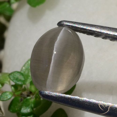 1.80ct طبيعي بنى فول السودانى عين القط سيليمانايت, بيضوي, نصف شفاف