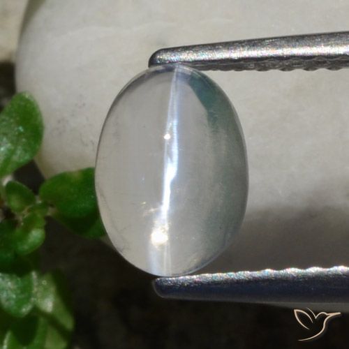 1.47ct طبيعي أبيض عين القط سيليمانايت, بيضوي, شفاف