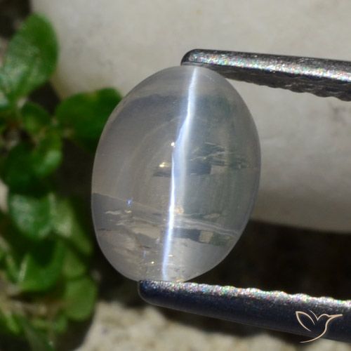 1.42ct طبيعي رمادى فاتح جدا عين القط سيليمانايت, بيضوي, شفاف