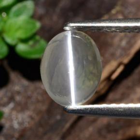 عين القط سيليمانايت دخان طبيعي، قصة بيضاوى، 1.14 قيراط، شفاف