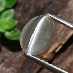 عين القط سيليمانايت دخان طبيعي، قصة بيضاوى، 1.14 قيراط، شفاف