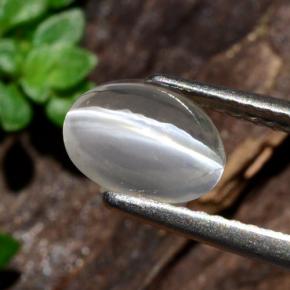 عين القط سيليمانايت دخان طبيعي، قصة بيضاوى، 1.14 قيراط، شفاف