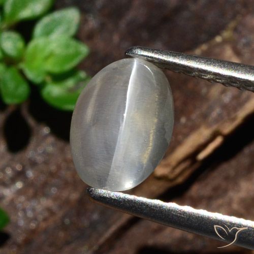 1.47ct طبيعي أبيض عين القط سيليمانايت, بيضوي, نصف شفاف