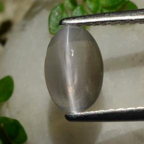 عين القط سيليمانايت دخان طبيعي، قصة بيضاوى، 1.20 قيراط، شفاف