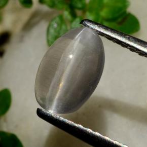 عين القط سيليمانايت دخان طبيعي، قصة بيضاوى، 1.20 قيراط، شفاف