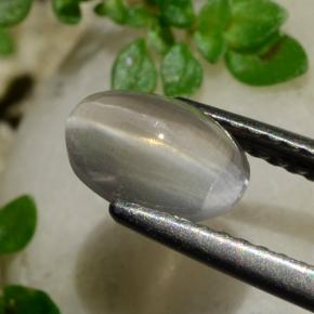 عين القط سيليمانايت دخان طبيعي، قصة بيضاوى، 1.20 قيراط، شفاف