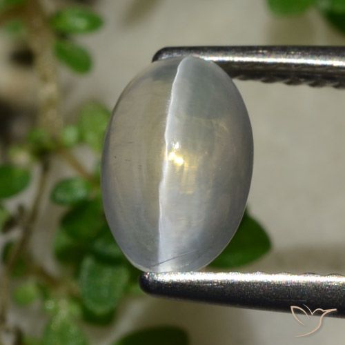 1.65ct طبيعي رمادى فاتح جدا عين القط سيليمانايت, بيضوي, شفاف